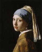 Jan Vermeer flicka med parlorbange Germany oil painting artist